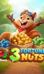 3 Fortune Nuts